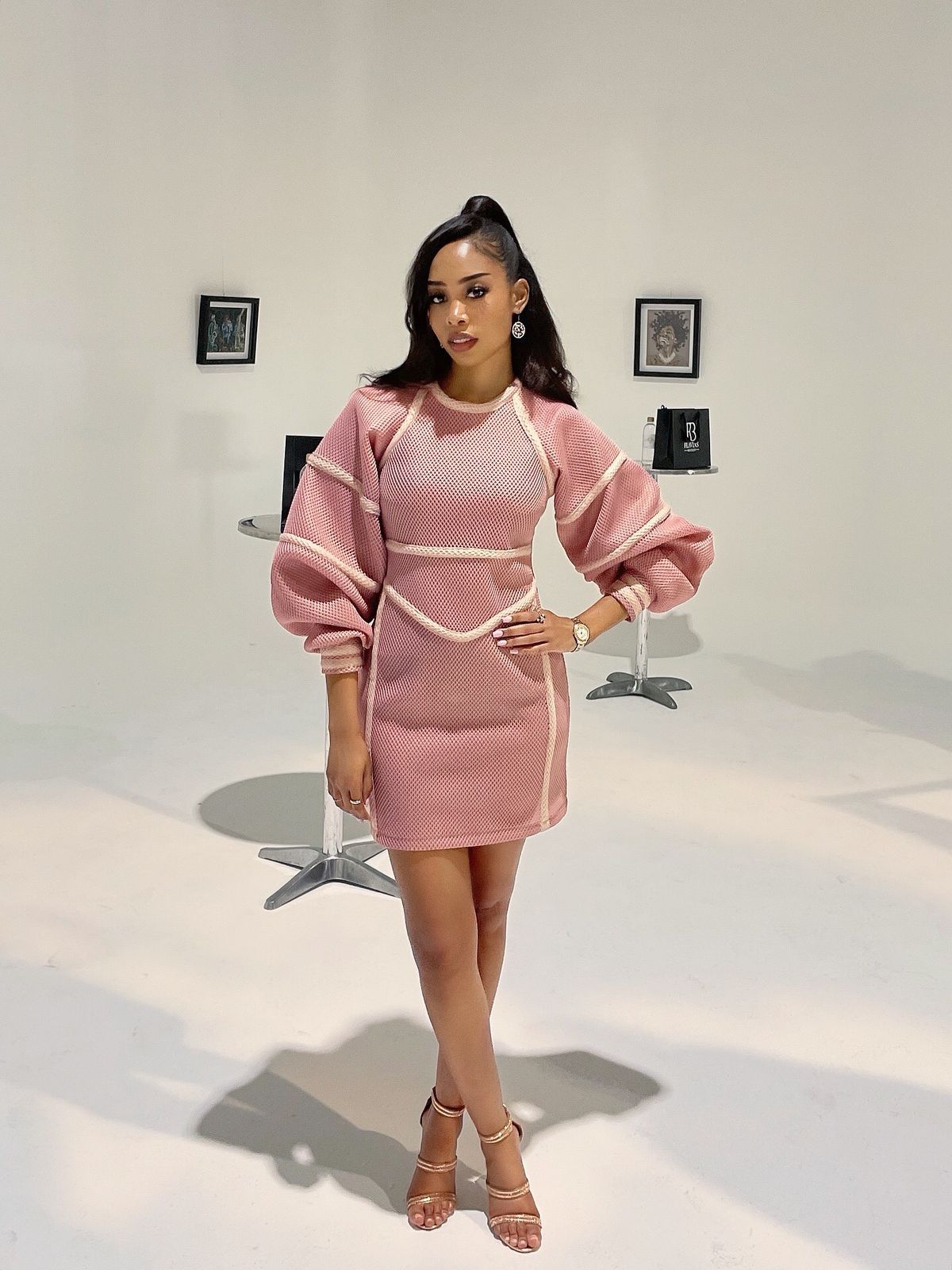 Rose Contour Puff Sleeve Dress